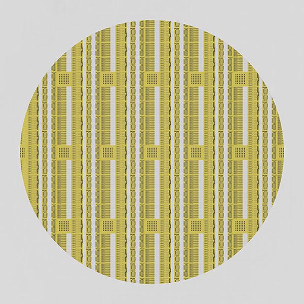 CPO 晶圓效果圖600.jpg